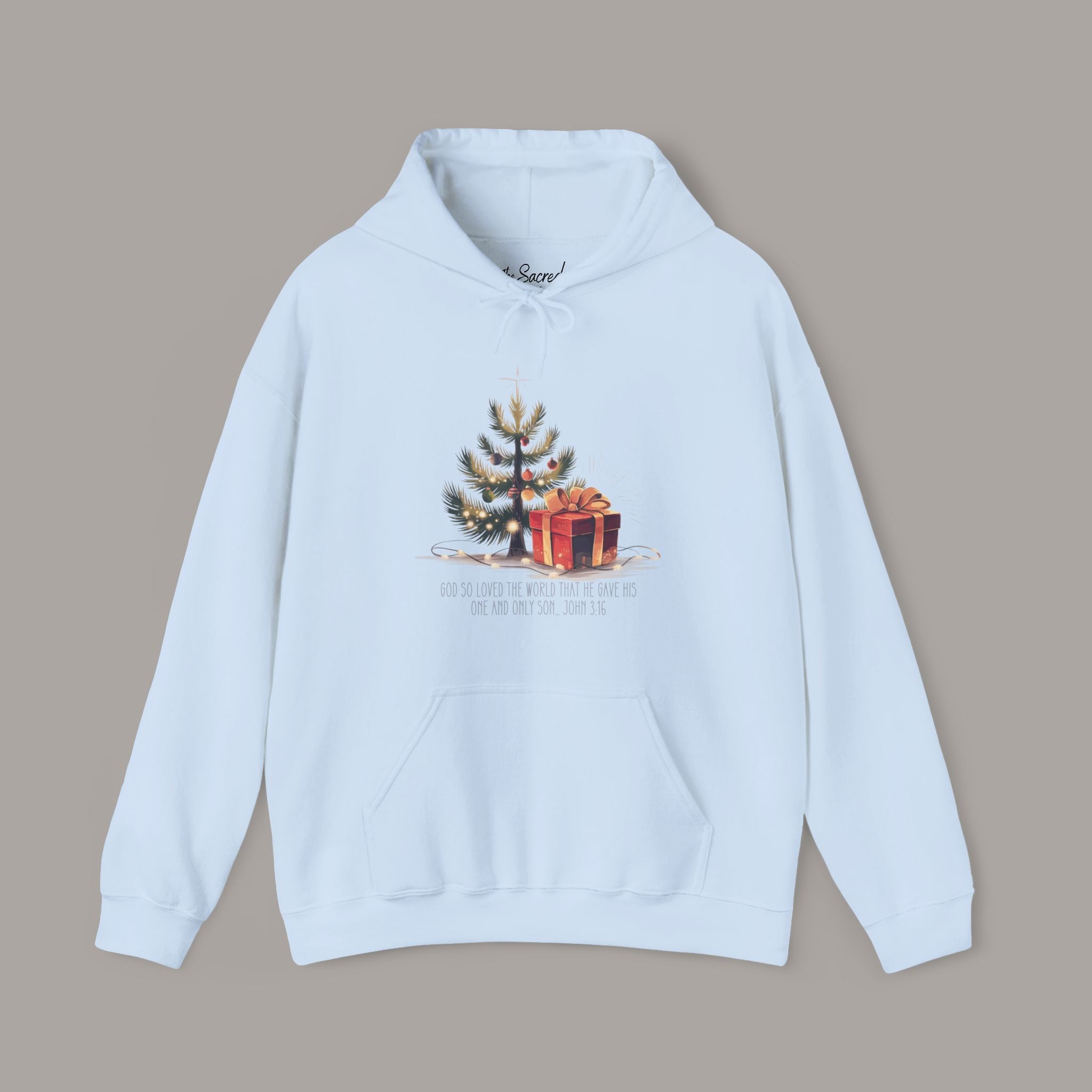 John 3:16 Hoodie