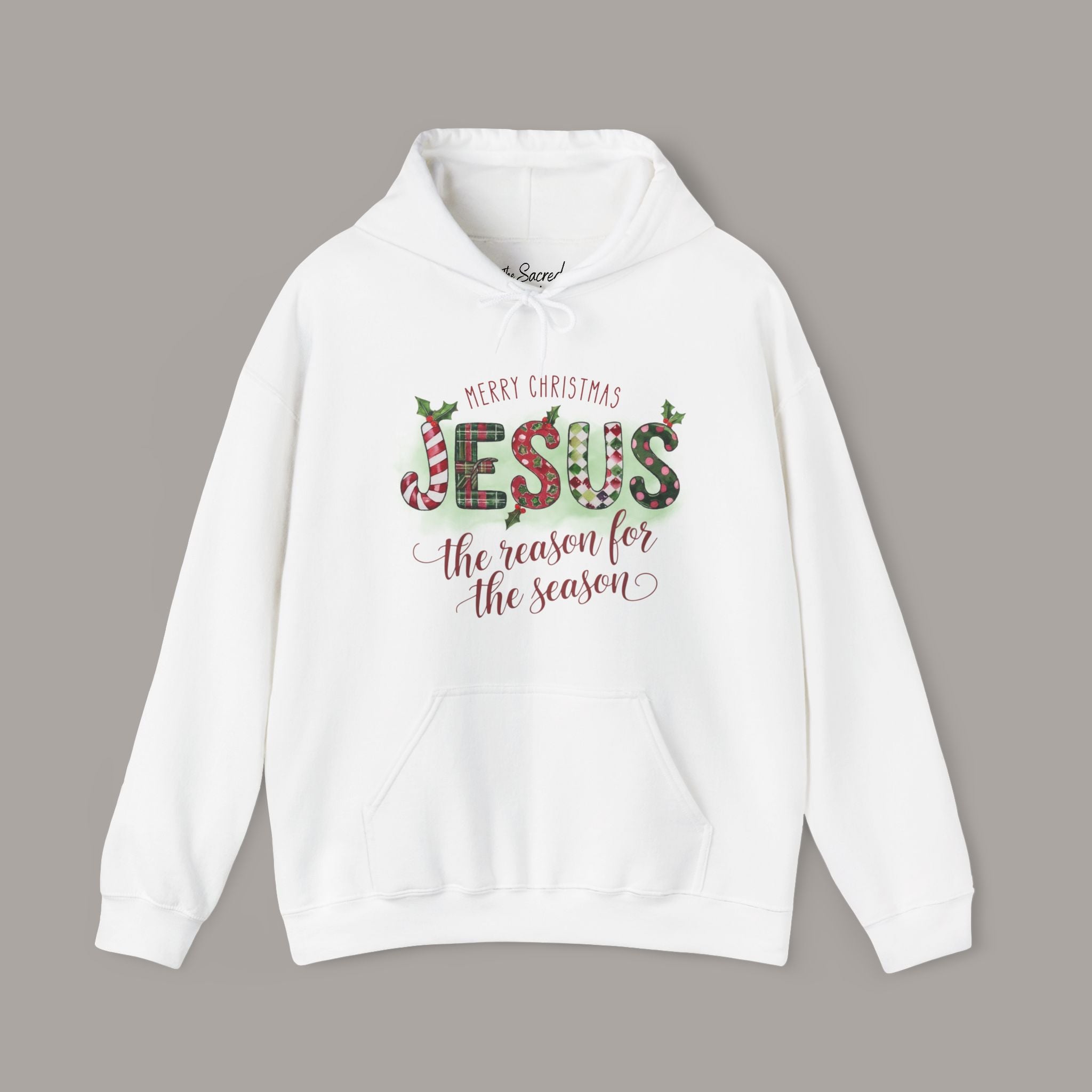 Jesus Is The Reason Hoodie