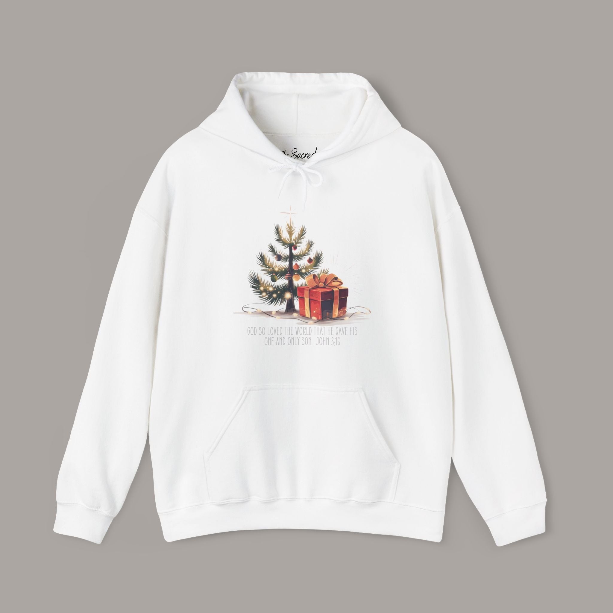 John 3:16 Hoodie