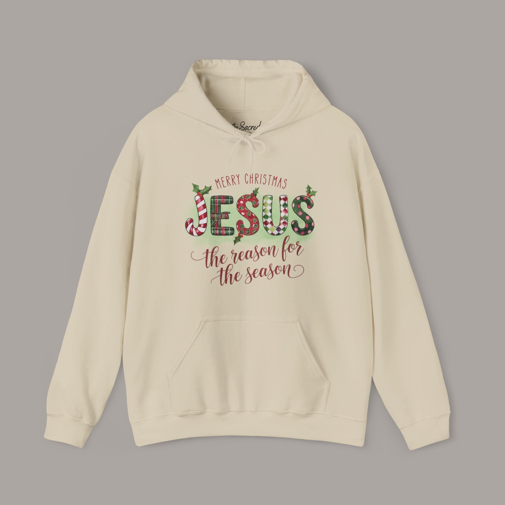 Jesus Is The Reason Hoodie