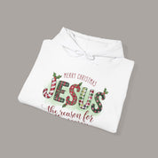Jesus Is The Reason Hoodie