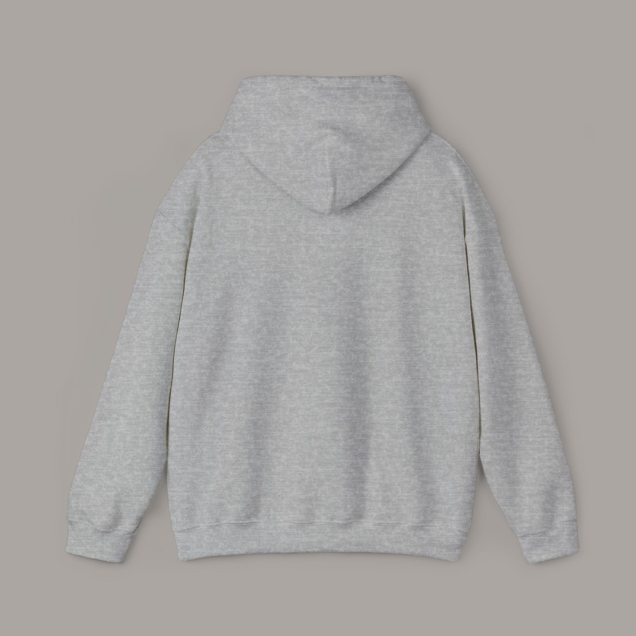 Joy To The World Globe Hoodie