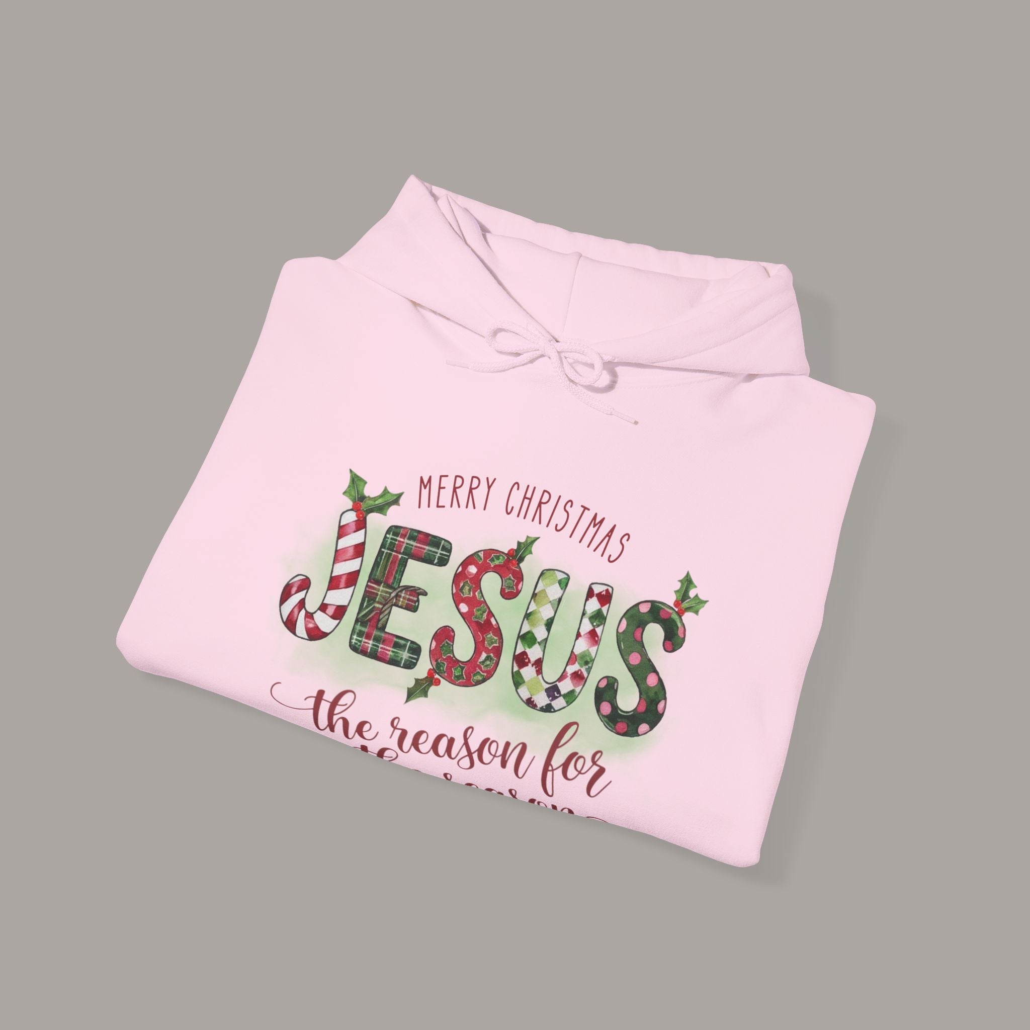 Jesus Is The Reason Hoodie