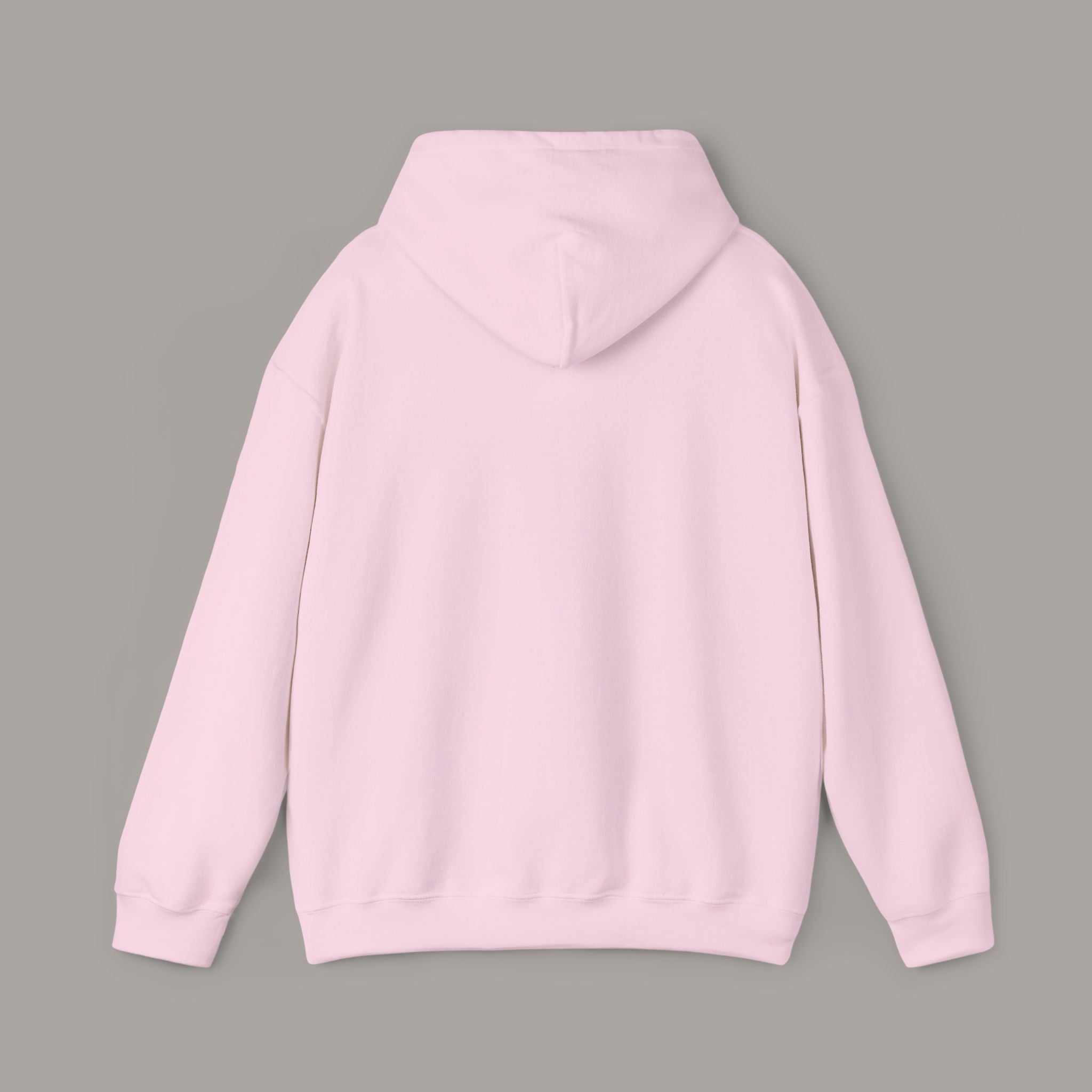 Jesus Is The Reason Hoodie